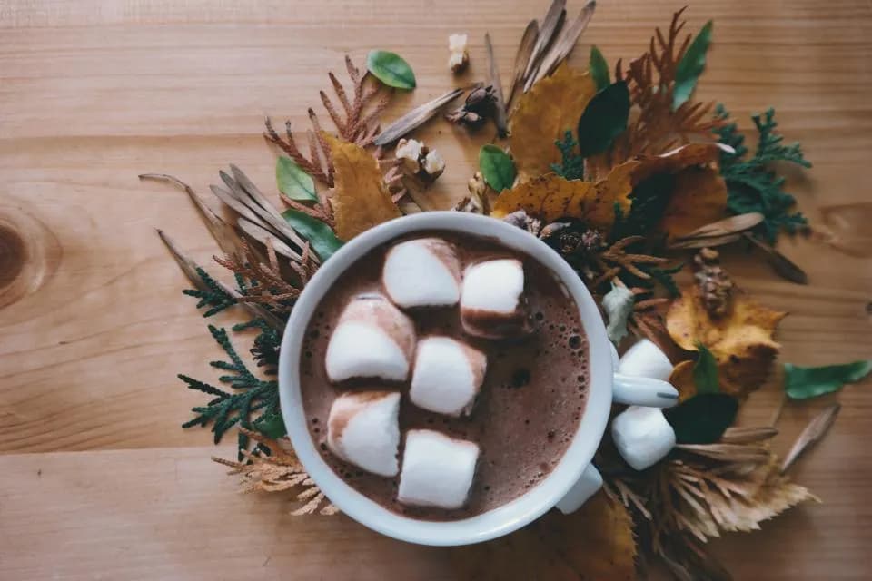 Cocoa Melt